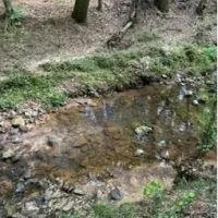 29.3 Acres in Carroll County in West MS images 5