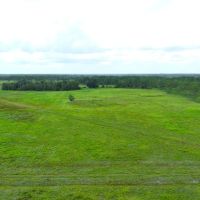 Osceola Legacy Ranch images 4