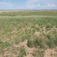 Bolton WMA - 640 Acres for hunting Turkey in Wabaunsee, KS