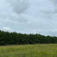 784 Acres T-4 CR 2204 01286 01287 images 3