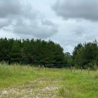 784 Acres T-4 CR 2204 01286 01287 images 4