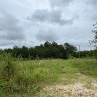 784 Acres T-4 CR 2204 01286 01287 images 5