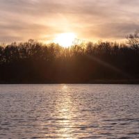 Southern Illinois Sanctuary Tract 1