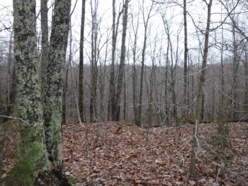 5.05 AC W MTN VIEWS IN A PRIVATE SECLUDED COUNTRY LOCATION featured image