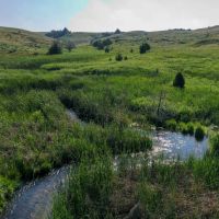 Otter Creek Ranch images 2