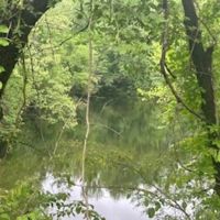 Land For Sale in Clay County IN 26 Acres - images 3