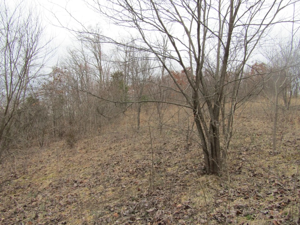Upper Crab Road featured image