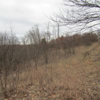 Upper Crab Road images 3