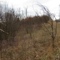 Upper Crab Road images 4