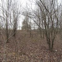 Upper Crab Road images 5
