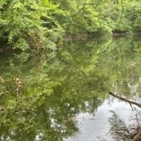 Land For Sale in Clay County IN 20 Acres - images 2