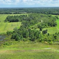 Graceville Duck Pond Farmland