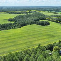 Graceville Duck Pond Farmland images 2