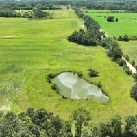 Graceville Duck Pond Farmland images 3