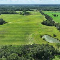 Graceville Duck Pond Farmland images 4