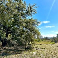 New Listing 26.34 - Acres Brown County images 4