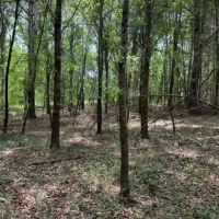- 5.26 Acres Tract 1 Sitton Hill Road Easley SC images 2