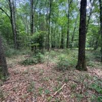 - 5.26 Acres Tract 1 Sitton Hill Road Easley SC images 4