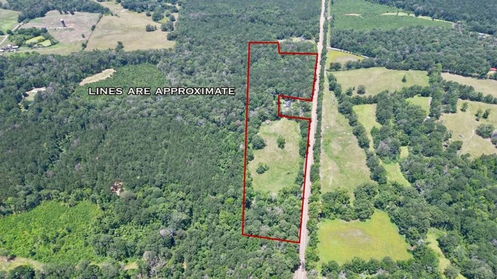 Small Piece of Land for Sale in Amite County MS featured image
