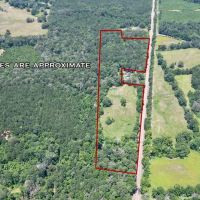 Small Piece of Land for Sale in Amite County MS