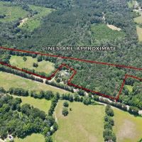 Small Piece of Land for Sale in Amite County MS images 2
