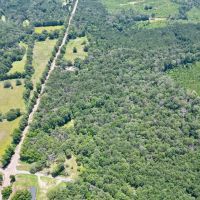Small Piece of Land for Sale in Amite County MS images 3