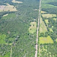 Small Piece of Land for Sale in Amite County MS images 5