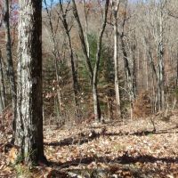Blair Rd