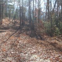 Blair Rd images 4