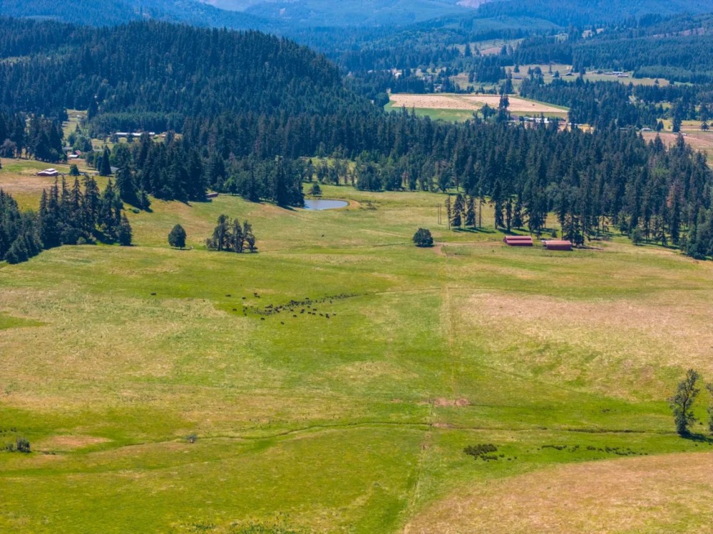 Mosby Ranch featured image