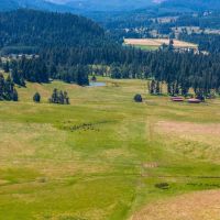 Mosby Ranch