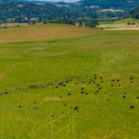 Mosby Ranch images 3