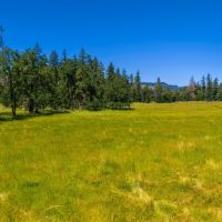 Mosby Ranch images 5