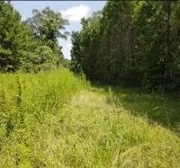 15.6 Acres in Lincoln County in Brookhaven MS images 3