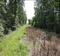15.6 Acres in Lincoln County in Brookhaven MS images 4