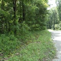 4400 Mt. Helen Rd images 2