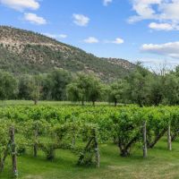 Canyon Ranch images 5