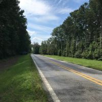 Beautiful Housesite with hunting near Forkville Mississippi images 1