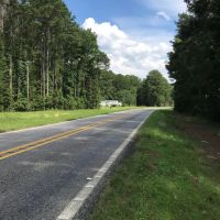 Beautiful Housesite with hunting near Forkville Mississippi images 2