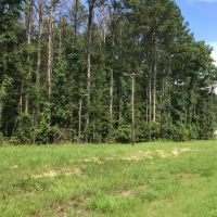 Beautiful Housesite with hunting near Forkville Mississippi images 3