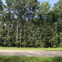 Beautiful Housesite with hunting near Forkville Mississippi images 4