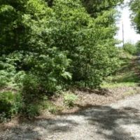 Walker Cove Rd images 3