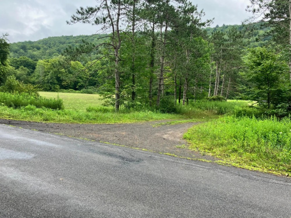 15 acre Building Lot and Hunting Land in Deposit NY Roods Creek Rd featured image
