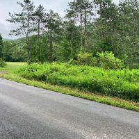 15 acre Building Lot and Hunting Land in Deposit NY Roods Creek Rd images 2