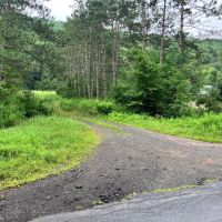 15 acre Building Lot and Hunting Land in Deposit NY Roods Creek Rd images 3