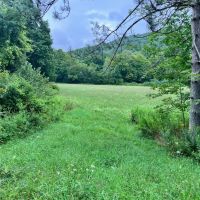 15 acre Building Lot and Hunting Land in Deposit NY Roods Creek Rd images 4