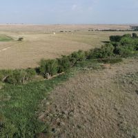Hunting and Livestock Oasis in the Texas Panhandle images 3