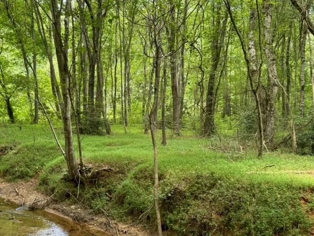 - 19.05 Acres Tract 2 Sitton Hill Road Easley SC featured image