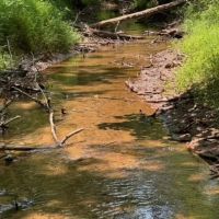 - 19.05 Acres Tract 2 Sitton Hill Road Easley SC images 2