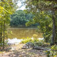 Lake Waggoner on 47.5 Acres images 3